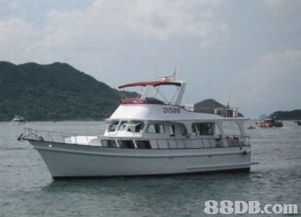 Sun Marine 海洋生活的全方位护航者，船舶租赁与买卖的专业之选